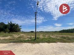 ขายที่ดิน เนื้อที่ 2 ไร่ เกาะจันทร์ ชลบุรี-202512011239101764567550892.jpg