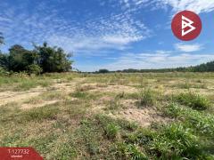 ขายที่ดิน เนื้อที่ 2 ไร่ เกาะจันทร์ ชลบุรี-202512011239111764567551630.jpg