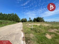 ขายที่ดิน เนื้อที่ 2 ไร่ เกาะจันทร์ ชลบุรี-202512011239121764567552220.jpg