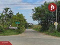 ขายที่ดินเปล่า เนื้อที่ 1 ไร่ 2.8 ตร.วา สอยดาว จันทบุรี-202512011245411764567941260.jpg