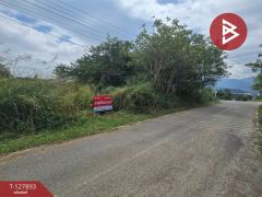 ขายที่ดินเปล่า เนื้อที่ 1 ไร่ 2.8 ตร.วา สอยดาว จันทบุรี-202512011245421764567942435.jpg