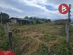 ขายที่ดินเปล่า เนื้อที่ 1 ไร่ 2.8 ตร.วา สอยดาว จันทบุรี-202512011245431764567943715.jpg