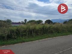 ขายที่ดินเปล่า เนื้อที่ 1 ไร่ 2.8 ตร.วา สอยดาว จันทบุรี-202512011245461764567946475.jpg