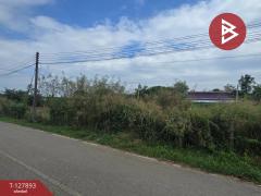 ขายที่ดินเปล่า เนื้อที่ 1 ไร่ 2.8 ตร.วา สอยดาว จันทบุรี-202512011245471764567947056.jpg