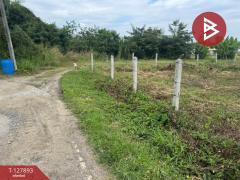 ขายที่ดินเปล่า เนื้อที่ 1 ไร่ 2.8 ตร.วา สอยดาว จันทบุรี-202512011245481764567948314.jpg