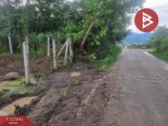 ขายที่ดินเปล่า เนื้อที่ 1 ไร่ 2.8 ตร.วา สอยดาว จันทบุรี-202512011245491764567949836.jpg