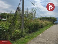 ขายที่ดินเปล่า เนื้อที่ 1 ไร่ 2.8 ตร.วา สอยดาว จันทบุรี-202512011245511764567951997.jpg