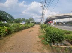 ขายที่ดินติดถนนใหญ่ โซนสีชมพู พญาเย็น ปากช่อง นครราชสีมา โฉนดครุฑแดง พร้อมโอน 59 ไร่ ทำเลศักยภาพมาก ราคาคุยกันได้-202512011256471764568607945.jpg