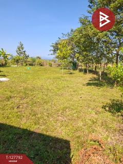 ขายที่ดิน เนื้อที่ 2 งาน 84.1 ตร.วา สันทราย เชียงราย