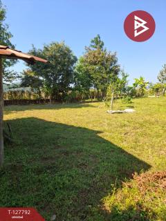 ขายที่ดิน เนื้อที่ 2 งาน 84.1 ตร.วา สันทราย เชียงราย-202512011258341764568714435.jpg