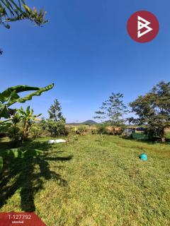 ขายที่ดิน เนื้อที่ 2 งาน 84.1 ตร.วา สันทราย เชียงราย-202512011258351764568715579.jpg