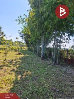 ขายที่ดิน เนื้อที่ 2 งาน 84.1 ตร.วา สันทราย เชียงราย-202512011258361764568716143.jpg