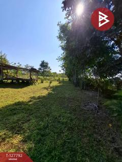 ขายที่ดิน เนื้อที่ 2 งาน 84.1 ตร.วา สันทราย เชียงราย-202512011258361764568716710.jpg