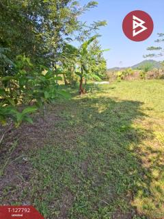 ขายที่ดิน เนื้อที่ 2 งาน 84.1 ตร.วา สันทราย เชียงราย-202512011258371764568717278.jpg