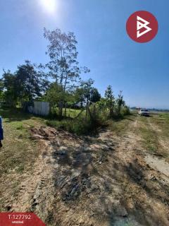 ขายที่ดิน เนื้อที่ 2 งาน 84.1 ตร.วา สันทราย เชียงราย-202512011258371764568717998.jpg