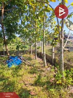 ขายที่ดิน เนื้อที่ 2 งาน 84.1 ตร.วา สันทราย เชียงราย-202512011258381764568718556.jpg