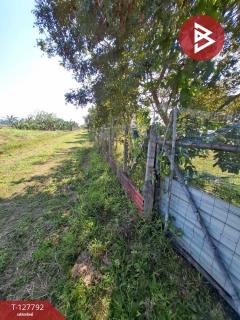 ขายที่ดิน เนื้อที่ 2 งาน 84.1 ตร.วา สันทราย เชียงราย-202512011258401764568720266.jpg