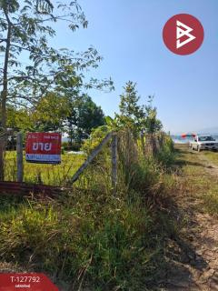 ขายที่ดิน เนื้อที่ 2 งาน 84.1 ตร.วา สันทราย เชียงราย-202512011258401764568720877.jpg