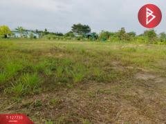 ขายที่ดิน-เนื้อที่-1-ไร่-3-งาน-38.7-ตารางว