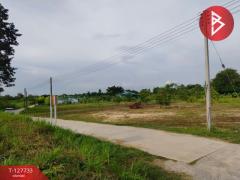 ขายที่ดิน เนื้อที่ 1 ไร่ 3 งาน 38.7 ตารางวา พนัสนิคม ชลบุรี-202512011331421764570702374.jpg