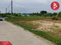 ขายที่ดิน เนื้อที่ 1 ไร่ 3 งาน 38.7 ตารางวา พนัสนิคม ชลบุรี-202512011331421764570702928.jpg