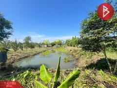 ขายที่ดิน เนื้อที่ 1 ไร่ 3 งาน 38.7 ตารางวา พนัสนิคม ชลบุรี-202512011331441764570704554.jpg