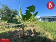 ขายที่ดิน เนื้อที่ 1 ไร่ 3 งาน 38.7 ตารางวา พนัสนิคม ชลบุรี-202512011331451764570705120.jpg