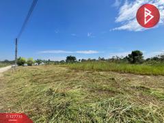 ขายที่ดิน เนื้อที่ 1 ไร่ 3 งาน 38.7 ตารางวา พนัสนิคม ชลบุรี-202512011331461764570706187.jpg