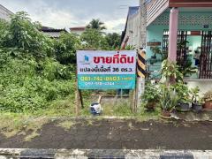 ขายที่ดินเนื้อที่ 36 ตร.ว. ตลาดบางแก้ว ต.ท่ามะเดื่อ อ.บางแก้ว จ.พัทลุง-202512011343071764571387448.jpg