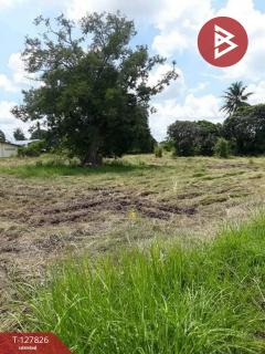 ขายที่ดิน-เนื้อที่-1-ไร่-บ้านบึง-ชลบุ