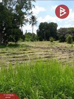 ขายที่ดิน เนื้อที่ 1 ไร่ บ้านบึง ชลบุรี-202512011403491764572629457.jpg