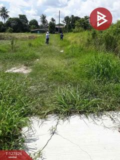 ขายที่ดิน เนื้อที่ 1 ไร่ บ้านบึง ชลบุรี-202512011403501764572630018.jpg