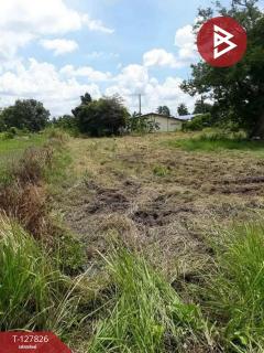 ขายที่ดิน เนื้อที่ 1 ไร่ บ้านบึง ชลบุรี-202512011403501764572630590.jpg