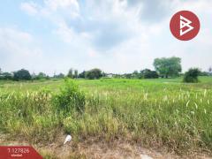 ขายที่ดิน เนื้อที่ 1 ไร่ บ้านบึง ชลบุรี-202512011403521764572632366.jpg