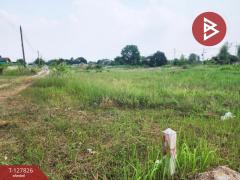 ขายที่ดิน เนื้อที่ 1 ไร่ บ้านบึง ชลบุรี-202512011403531764572633555.jpg