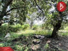 ขายด่วนบ้านเดี่ยวพร้อมที่ดิน เนื้อที่ 6 ไร่ 1 งาน 49 ตารางวา บ้านโป่ง ราชบุรี-202512011416521764573412919.jpg