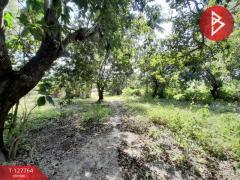 ขายด่วนบ้านเดี่ยวพร้อมที่ดิน เนื้อที่ 6 ไร่ 1 งาน 49 ตารางวา บ้านโป่ง ราชบุรี-202512011416531764573413984.jpg