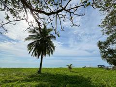 ขายด่วนโรงแรมติดหาดนาใต้ จังหวัดพังงา-202512011421041764573664501.jpg