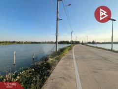 ขายที่ดิน-เนื้อที่-6-ไร่-57.7-ตร.วา-พระสม