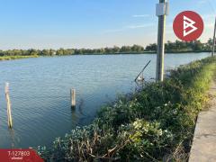 ขายที่ดิน เนื้อที่ 6 ไร่ 57.7 ตร.วา พระสมุทรเจดีย์ สมุทรปราการ-202512011437141764574634619.jpg