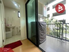 ขายคอนโด โครงการไอคอนโด สุขุมวิท105 กรุงเทพมหานคร (Icondo Sukhumvit105)-202512011504441764576284848.jpg