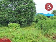 ขายบ้านเดี่ยว ซ.หทัยราษฎร์4และ2 เนื้อที่ 50 ตร.วา ลำลูกกา ปทุมธานี-202512011514491764576889269.jpg