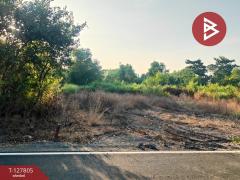 ขายที่ดิน เนื้อที่ 98 ตารางวา บางน้ำเปรี้ยว ฉะเชิงเทรา-202512011537561764578276543.jpg