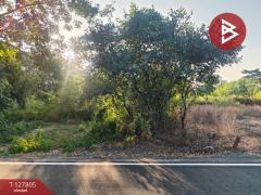 ขายที่ดิน เนื้อที่ 98 ตารางวา บางน้ำเปรี้ยว ฉะเชิงเทรา-202512011537571764578277115.jpg