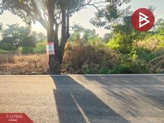 ขายที่ดิน เนื้อที่ 98 ตารางวา บางน้ำเปรี้ยว ฉะเชิงเทรา-202512011537581764578278271.jpg