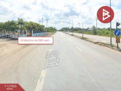 ขายที่ดิน เนื้อที่ 98 ตารางวา บางน้ำเปรี้ยว ฉะเชิงเทรา-202512011537591764578279572.jpg