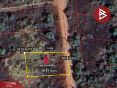 ขายที่ดิน เนื้อที่ 98 ตารางวา บางน้ำเปรี้ยว ฉะเชิงเทรา-202512011538001764578280140.jpg