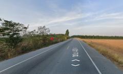 ขายที่ดินชลบุรี บ่อทอง 31ไร่ 92ตรว. ผังสีเหลือง เหมาะสำหรับทำฟาร์มเลี้ยงสัตว์ โรงงาน โกดังสินค้า