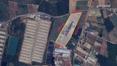 ขายที่ดินชลบุรี บ่อทอง 31ไร่ 92ตรว. ผังสีเหลือง เหมาะสำหรับทำฟาร์มเลี้ยงสัตว์ โรงงาน โกดังสินค้า-202512011709131764583753486.jpg