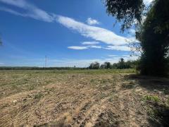 ขายที่ดินชลบุรี บ่อทอง 31ไร่ 92ตรว. ผังสีเหลือง เหมาะสำหรับทำฟาร์มเลี้ยงสัตว์ โรงงาน โกดังสินค้า-202512011709211764583761384.jpg